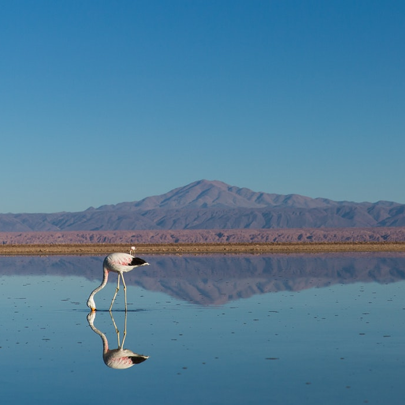 San Pedro de Atacama